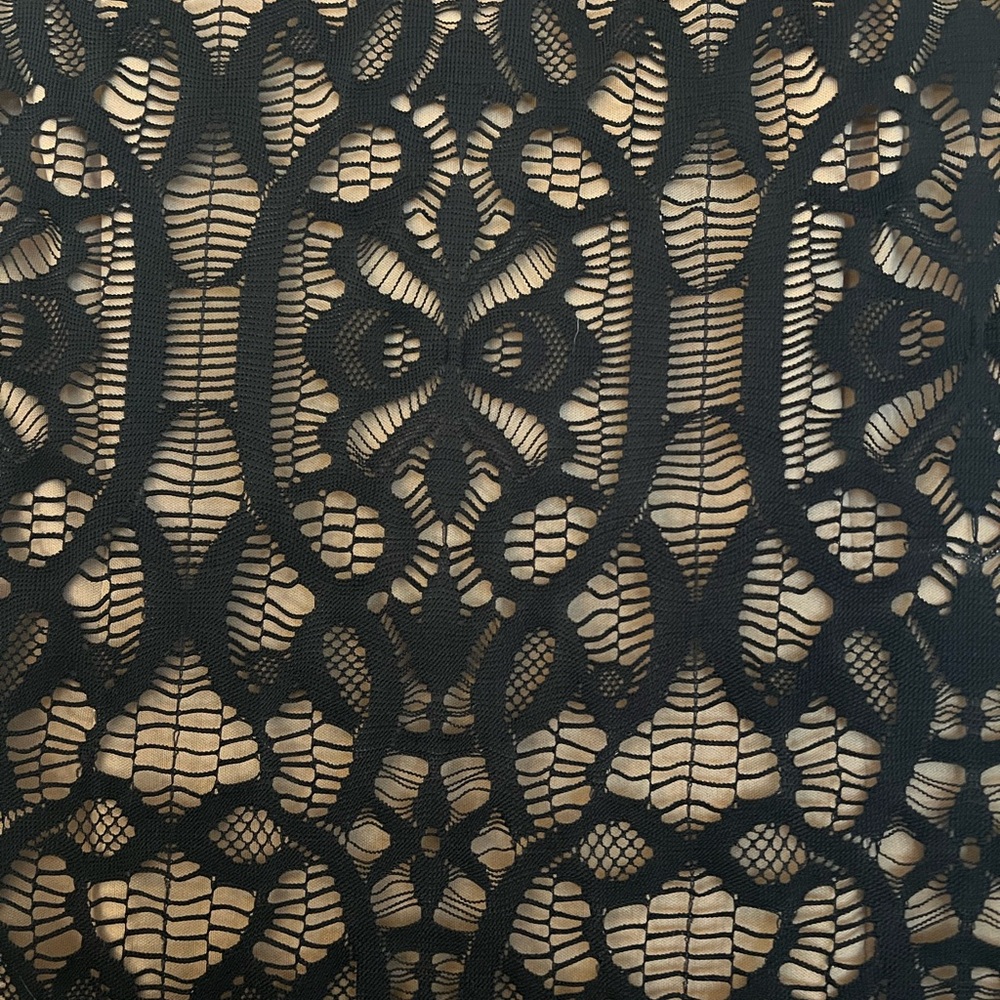 Black lace stretch dress, NWOT - Picture 3 of 4